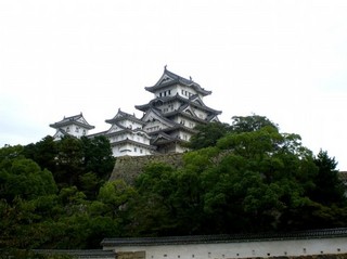 a0800_000359.jpg